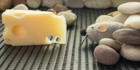 Mouse got cheese Stock Photos