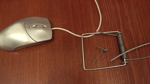 Mouse got into a trap and wanted to escape. Stock Footage 1913115