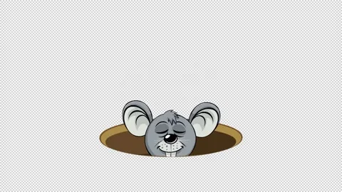 Mouse in a hole Stock Footage 146955208