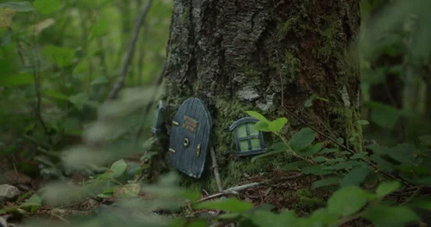 Mouse House in Tree Stock Footage 306416661