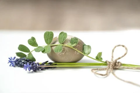 Mouse hyacinth and Easter egg. Small bouquet on a white background. wooden .. Stock Photos