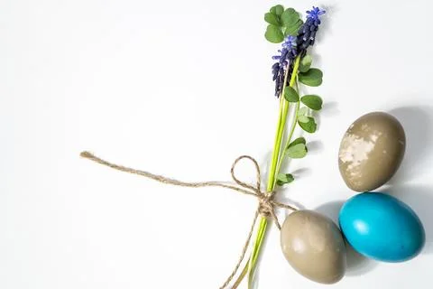Mouse hyacinth and Easter eggs. Small bouquet on a white background. Muscar.. Stock Photos