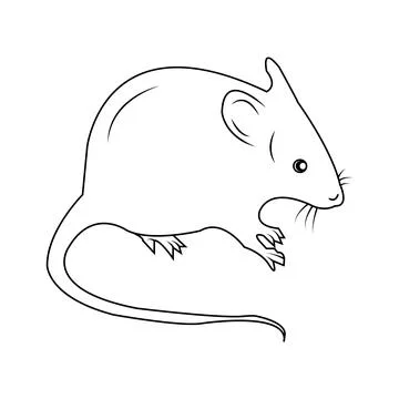 Mouse icon Stock Illustration