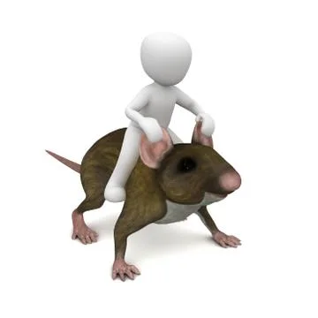 Mouse Stock Illustration