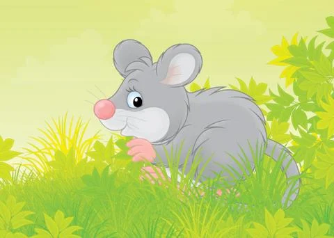 Mouse Stock Illustration