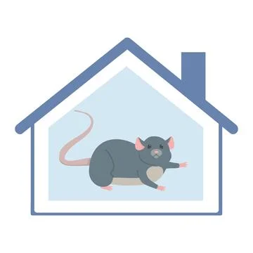 Mouse Inside House Spreading Hantavirus Risk Stock Illustration