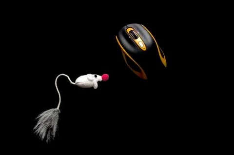 A mouse isolated on black Stock Photos