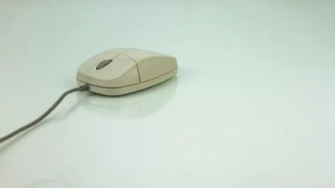 Mouse isolated on white background Stock Photos