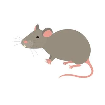 Mouse isolated on white Stock Illustration