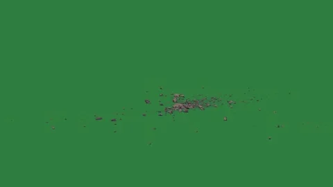 Mouse on it and lot of debris black dots isolated isolated on green screen Stock-Footage 336855820