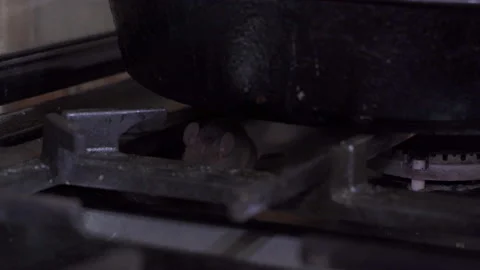 A mouse in the kitchen Vidéo 214654551