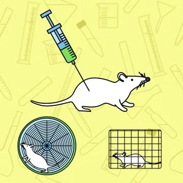 Mouse in lab experiments Illustrazione stock