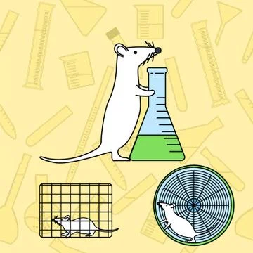 Mouse in lab experiments Illustrazione stock