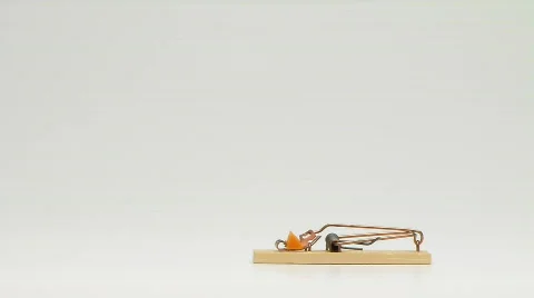 Mouse launch Stock-Footage 660797