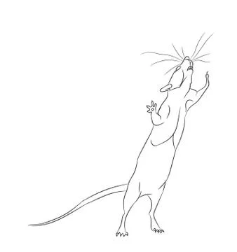 Mouse lines, vector Stock Illustration