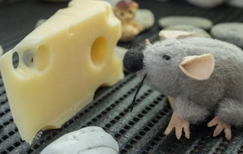Mouse looking at cheese Stock Photos