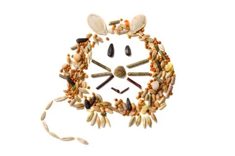 Mouse made of feed Foto stock