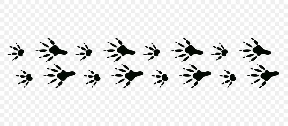 Mouse paws Stock Illustration