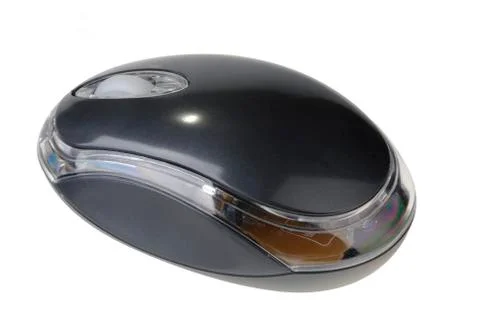 The mouse Stock Photos