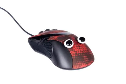 Mouse Stock Photos