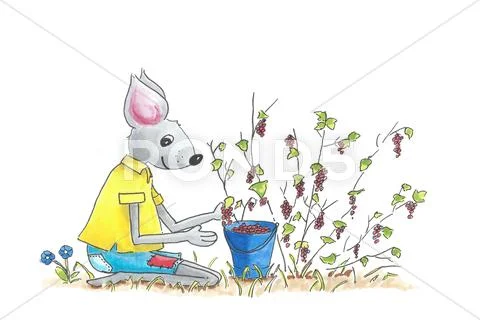 Mouse picking berries Stock Illustration