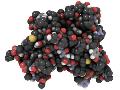 Mouse prion protein, molecular model Stock Illustration
