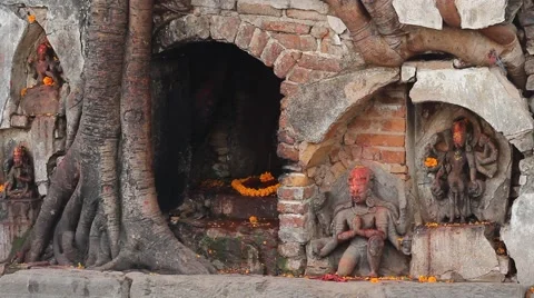 Mouse pulls food from the sacrificial altar Stock Footage 58594875