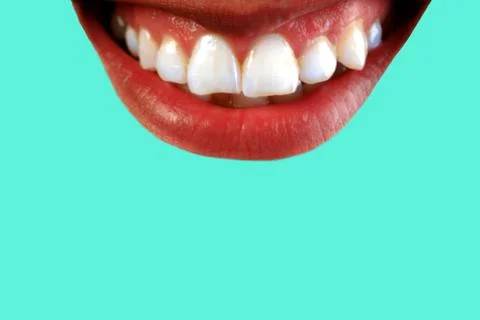 Mouse smiling Stock Photos