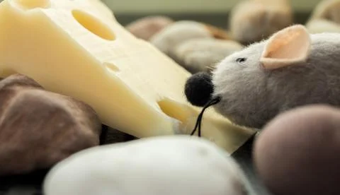 Mouse sniffs cheese Stock Photos