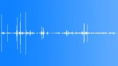 Mouse Snuffling Squeaking Technical Sound Effect