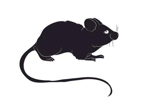 Mouse stands drawing silhouette, vector Stock Illustration