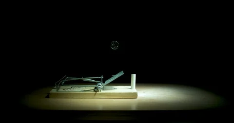 Mouse trap and chalk Stock Footage 89175422