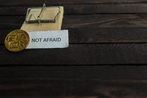 Mouse trap, backside of bitcoin and the word not afraid. Foto stock