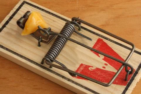 Mouse Trap Baited with Cheese Stock Photos