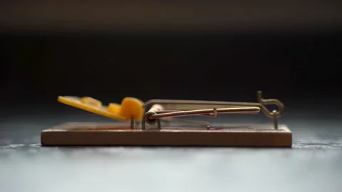 Mouse Trap Close Up #2 Video stock 148160261