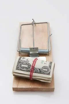 Mouse Trap dollar bill Stock Photos