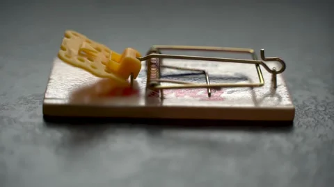 Mouse Trap Video stock 148160258