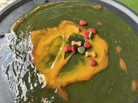 Mouse trap , mouse glue trap , rat Stock-Fotos