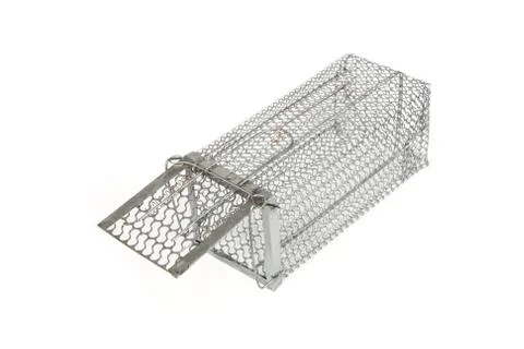 Mouse trap Stock Photos