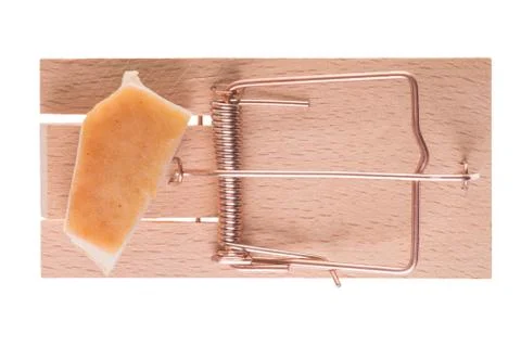 Mouse trap Foto stock