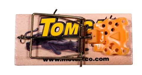 Mouse trap 스톡 사진