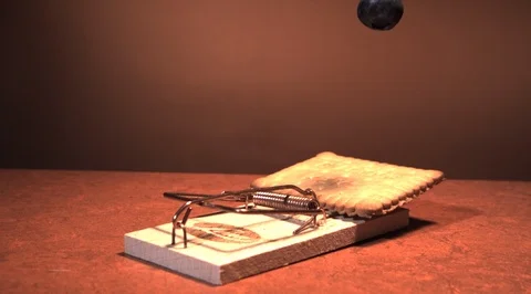 Mouse trap. Ultra slow motion hispeed 5000fps Video stock 93200010
