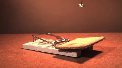 Mouse trap. Ultra slow motion hispeed 5000fps Video stock 93205041