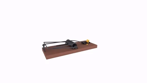 Mouse trap on wooden base isolated on white background Stockbeeldmateriaal 304211632