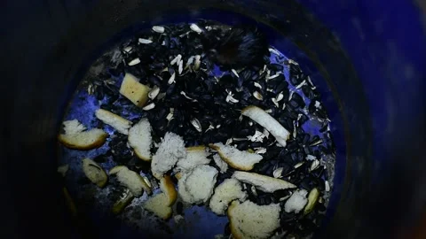 Mouse in the trash can, in the light of a pocket flashlight Stock Footage 138641084