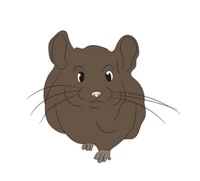 Mouse vector illustration, color drawing, vector Stock Illustration