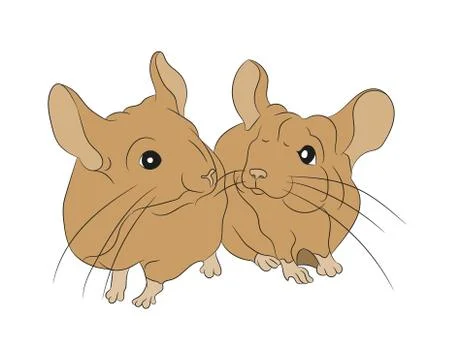 Mouse vector illustration, color drawing, vector Stock Illustration