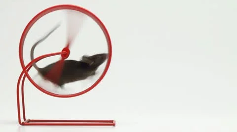 Mouse wheel moving Stock Footage 22112240