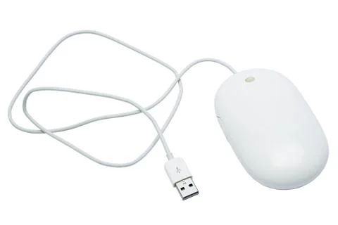 The mouse with a wheel Foto stock