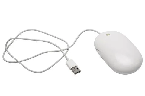 Mouse with a wheel Foto stock